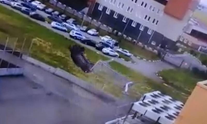 Двойное сальто на автомобиле устроил житель Омска - bloknot.ru - Омск