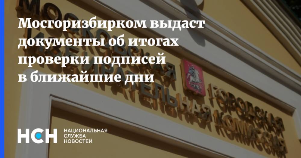 Дмитрий Реут - Мосгоризбирком выдаст документы об итогах проверки подписей в ближайшие дни - nsn.fm - Москва