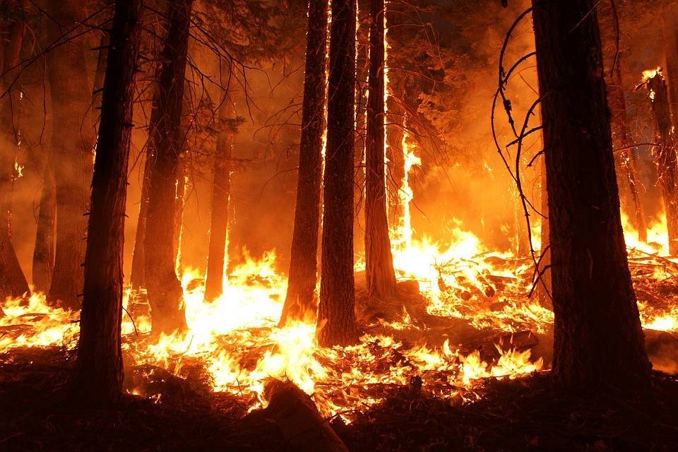 За прошедшие сутки в Бурятии тушили 24 лесных пожара - infpol.ru - респ.Бурятия - Северобайкальск