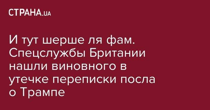 Дональд Трамп - Барак Обама - И тут шерше ля фам. Спецслужбы Британии нашли виновного в утечке переписки посла о Трампе - strana.ua - США - Англия - Иран