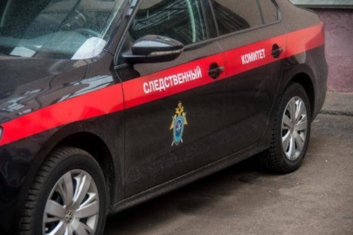 Елена Марковская - СК начал проверку по делу о гибели жителей Подмосковья в Тверской области - vm.ru - Московская обл. - Тверская обл. - район Кимрский