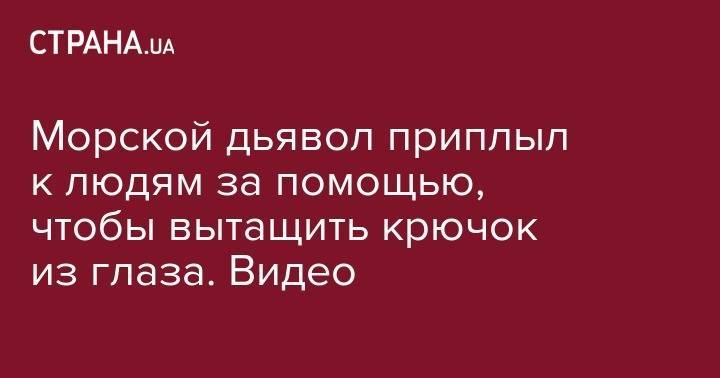 Морской дьявол приплыл к людям за помощью, чтобы вытащить крючок из глаза. Видео - strana.ua - США - Англия - Австралия - шт. Массачусетс