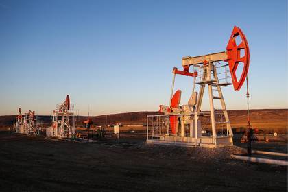 Александр Новак - Григорий Березкин - Российская нефть обесценилась - newtvnews.ru - Россия - Украина - Белоруссия - Польша - Усть-Луга