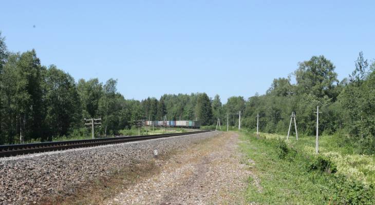 Мужчина из Чувашии погиб, попав под скоростной поезд - pg21.ru - Москва - Санкт-Петербург - респ. Чувашия - окр.Сзфо