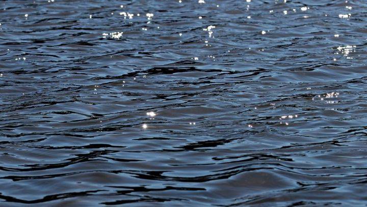 Эксперты установили, кому принадлежали найденные в водохранилище отрезанные ноги - Новости Воронежа - moe-online.ru - Воронеж