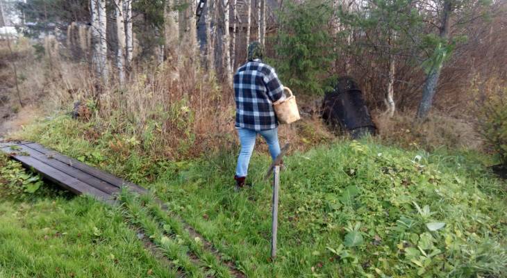 В лаборатории изучили клещей, снятых с жителей Чувашии за неделю - pg21.ru - респ. Чувашия