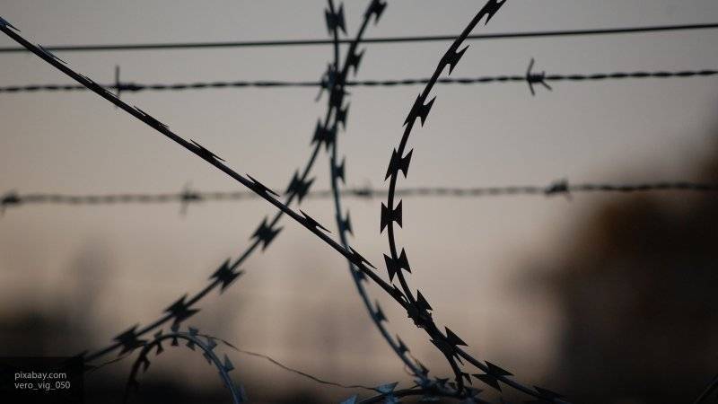 Кристина Амелина - Заключенных предлагают переводить на УДО только после колонии-поселения - nation-news.ru