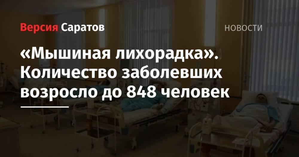 «Мышиная лихорадка». Количество заболевших возросло до 848 человек - nversia.ru - Саратовская обл. - Саратов