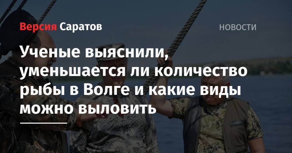 Валерий Радаев - Ученые выяснили, уменьшается ли количество рыбы в Волге и какие виды можно выловить - nversia.ru - Саратов