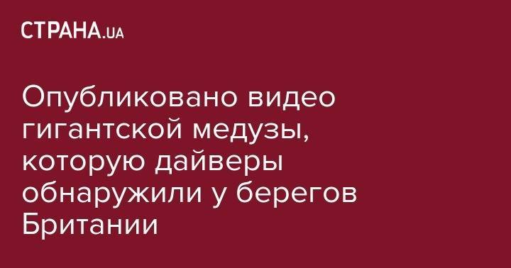 Опубликовано видео гигантской медузы, которую дайверы обнаружили у берегов Британии - strana.ua - Англия - Одесса - Житомир