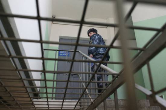 Александр Хинштейн - Хинштейн предложил сажать воров в законе в отдельные камеры - pnp.ru - Россия