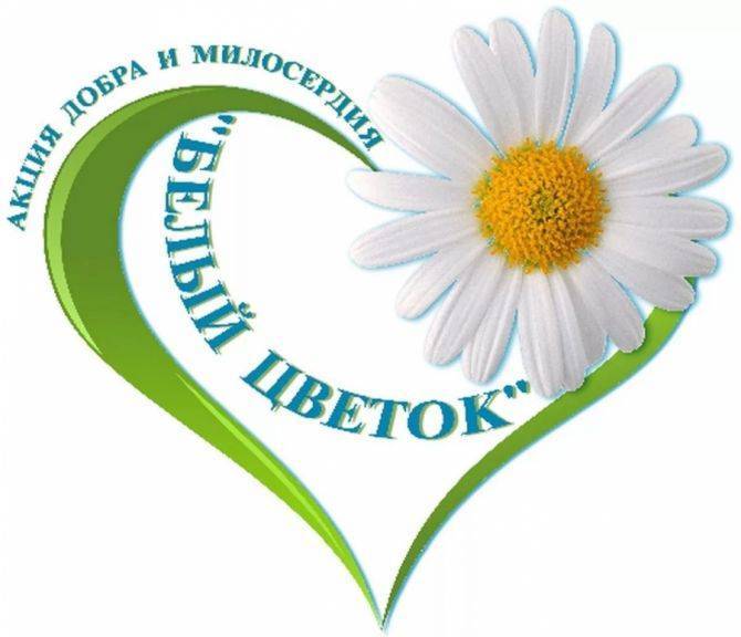 Николай II - Рязанцев приглашают принять участие в межрегиональной благотворительной акции «Белый цветок» | РИА «7 новостей» - 7info.ru - Россия - ЦФО - Рязанская обл. - Пронск