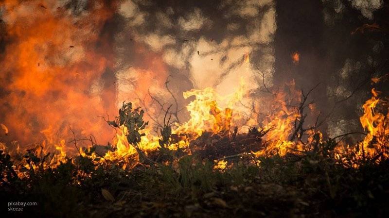 Мария Федорова - 14 тысяч гектаров леса горит на Чукотке - nation-news.ru - Чукотка