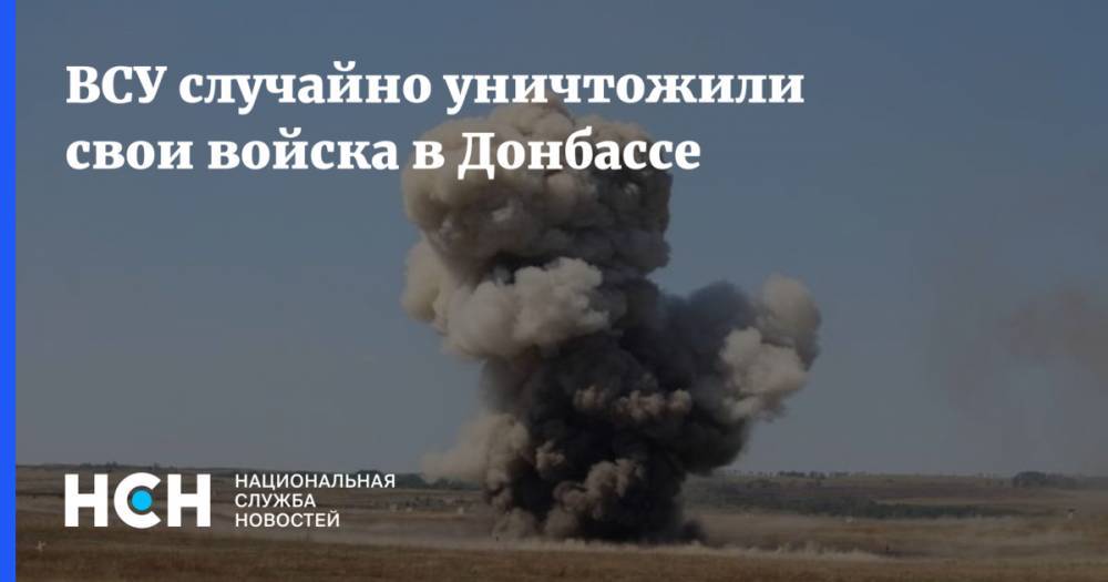 Даниил Безсонов - Михаил Погребинский - ВСУ случайно уничтожили свои войска в Донбассе - nsn.fm - Украина - Киев - ДНР
