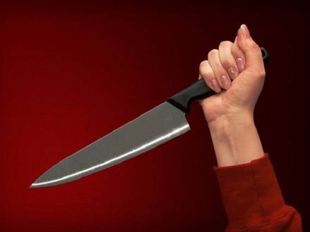Женщину осудили за новогоднюю поножовщину в Шаранге - vgoroden.ru - Нижегородская обл.