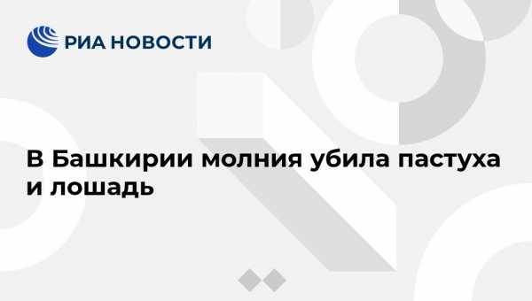 В Башкирии молния убила пастуха и лошадь - vestirossii.com - Башкирия - Уфа