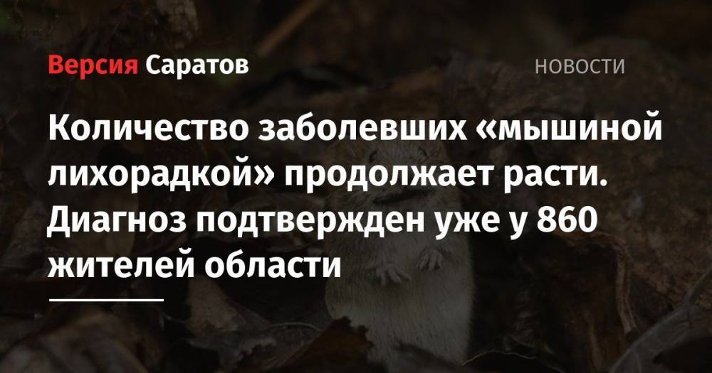Количество заболевших «мышиной лихорадкой» продолжает расти. Диагноз подтвержден уже у 860 жителей области - nversia.ru - Саратовская обл. - Саратов