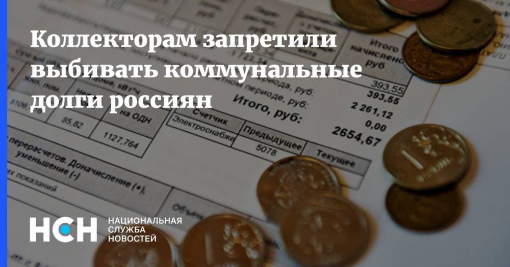 Ирина Яровая - Коллекторам запретили выбивать коммунальные долги россиян - nsn.fm