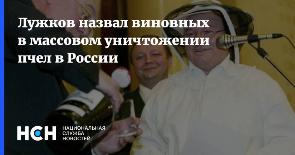Юрий Лужков - Лужков назвал виновных в массовом уничтожении пчел в России - nsn.fm - Москва - Россия - Саратовская обл. - Алтайский край - Курская обл. - Ульяновская - респ. Марий Эл - респ. Удмуртия - Липецкая обл.