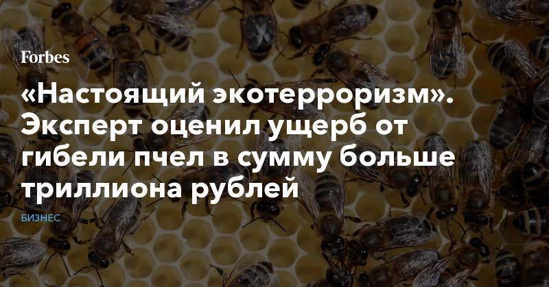 «Настоящий экотерроризм». Эксперт оценил ущерб от гибели пчел в сумму больше триллиона рублей - forbes.ru - Россия - Алтайский край