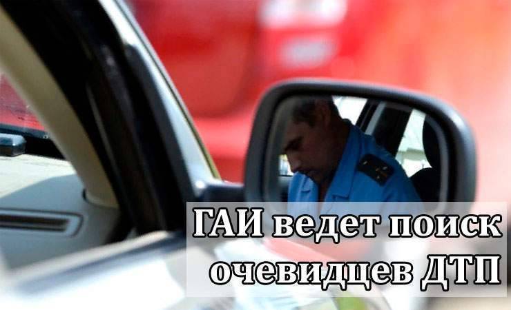 Автомобиль с российскими номерами сбил косулю и скрылся. ГАИ ведет поиск очевидцев ДТП - gomel.today - Минск - Гомель