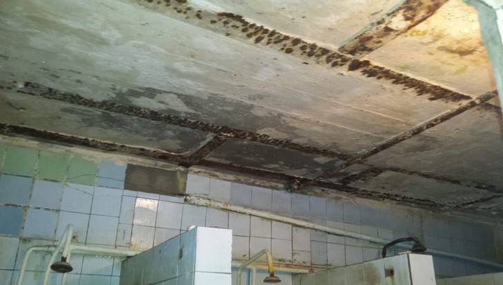 В Брянске жильцы общежития пожаловались на тяжелые условия быта - bragazeta.ru - Брянск
