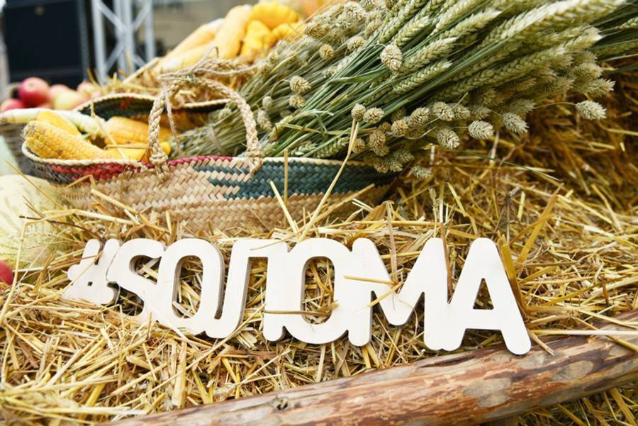Москва 24&nbsp;приглашает на&nbsp;фестиваль "Sолома" - m24.ru - Москва