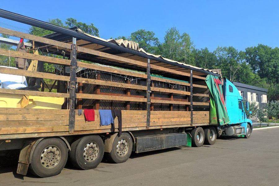 Косаток из "китовой тюрьмы" отправили на побережье Охотского моря - m24.ru - Россия - Хабаровский край - Приморье край - Хабаровск