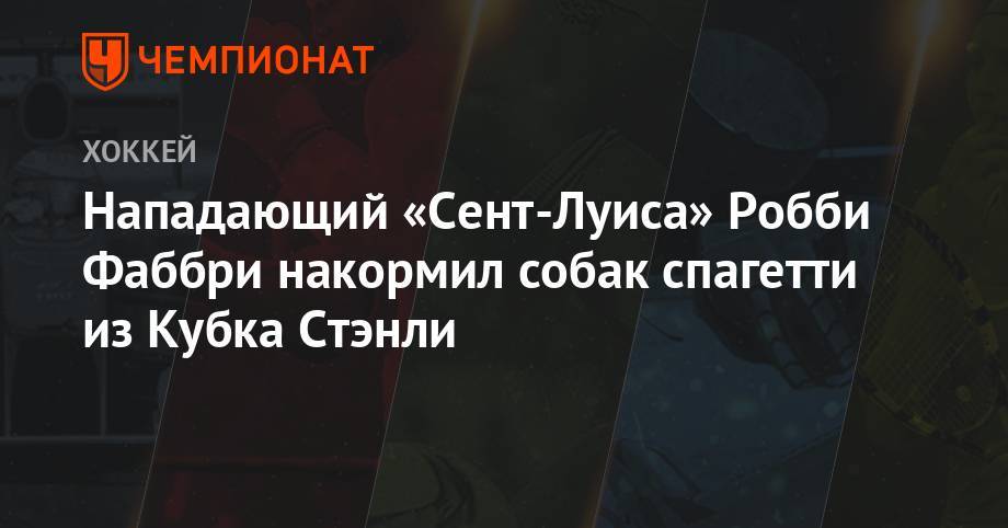 Нападающий «Сент-Луиса» Робби Фаббри накормил собак спагетти из Кубка Стэнли - championat.com - Бостон - Сан-Хосе