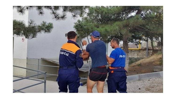 В Судаке спасатели "сняли с забора" воронежца - crimea.ria.ru - Крым - Симферополь - Воронежская обл.