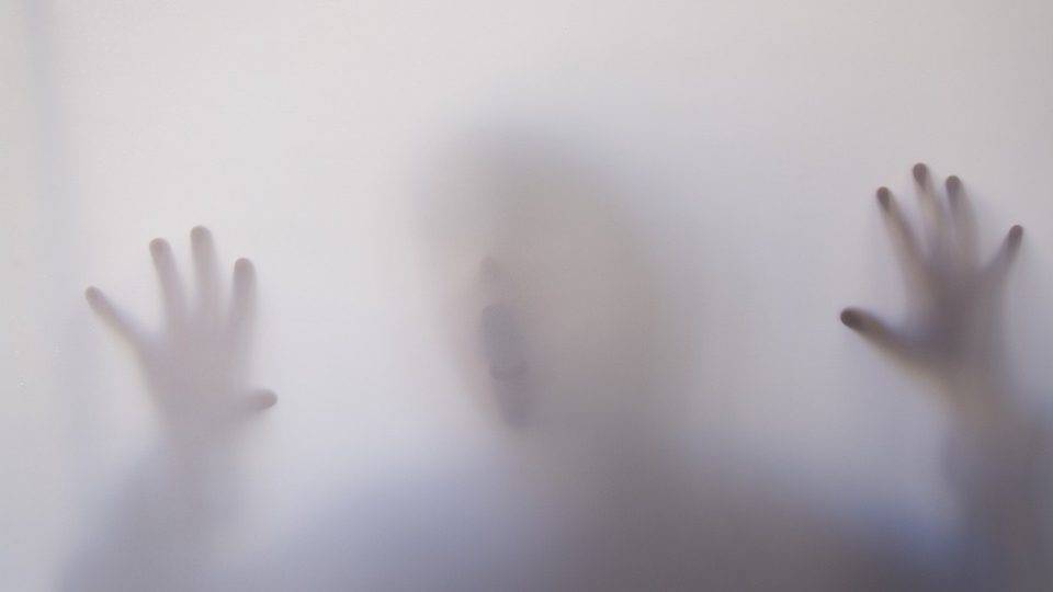 Участковые предотвратили три тяжких преступления в Рязанской области | РИА «7 новостей» - 7info.ru - Россия - Рязанская обл. - Рязань - Октябрьск - Ряжск