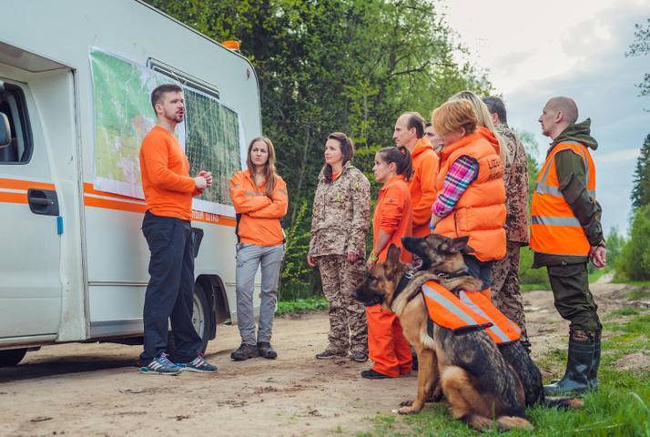 Столичные полицейские заблудились в лесу - vm.ru - Московская обл.