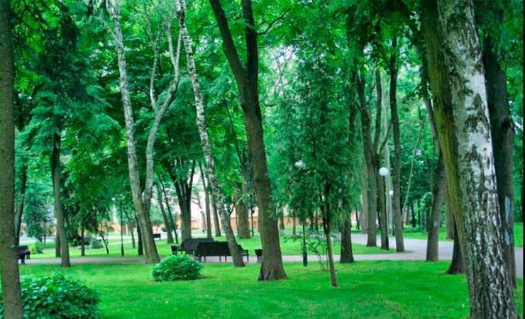 В Гомеле предлагают обсудить схемы озеленения территорий городских районов - gomel.today - Минск - Гомель