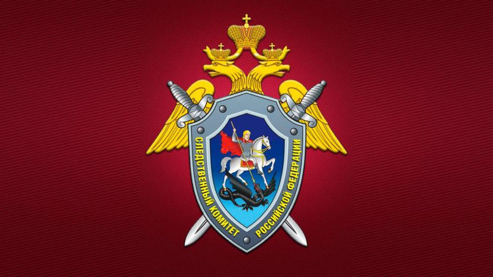Задержана подозреваемая в убийстве ветерана Великой Отечественной войны | РИА «7 новостей» - 7info.ru - Россия - Мурманская обл.