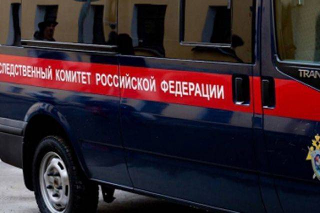 В Новопеределкино жестоко убита 66-летняя женщина - aif.ru - Москва - Киев - Архангельск