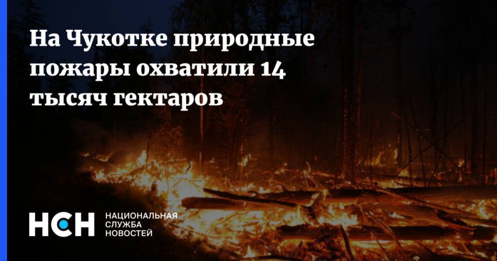 Дмитрий Киктев - На Чукотке природные пожары охватили 14 тысяч гектаров - nsn.fm - Россия - Чукотка