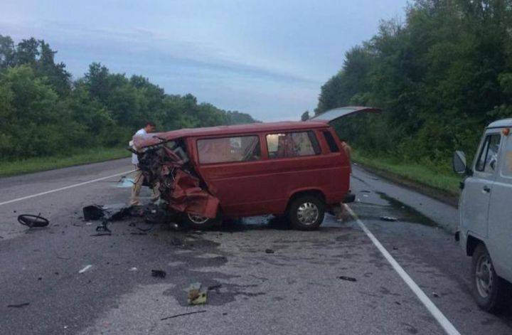 Сирот, потерявших мать в страшном ДТП с 8 погибшими, перевезли в Воронеж - Новости Воронежа - moe-online.ru - Воронеж - Воронежская обл. - Луганск - Ставрополье