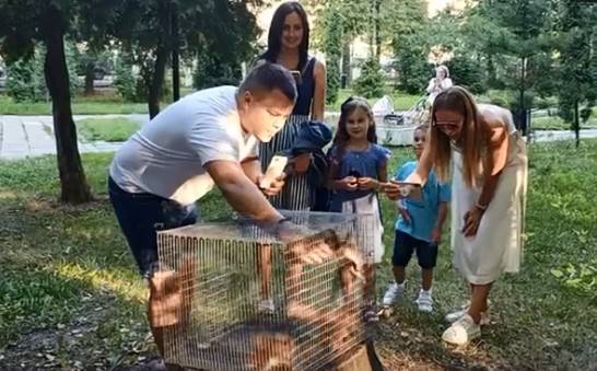 В рязанском горпарке поселились белки | РИА «7 новостей» - 7info.ru - Рязань