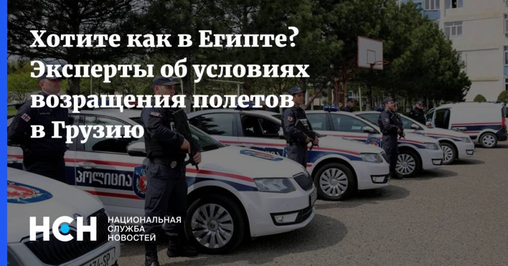 Сергей Лавров - Хотите как в Египте? Эксперты об условиях возращения полетов в Грузию - nsn.fm - Москва - Россия - Грузия