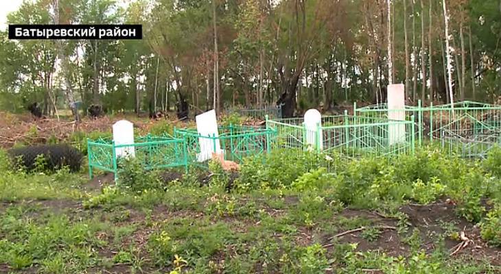 В Батыревском районе уборка на кладбище закончилась пожаром - pg21.ru - респ. Чувашия