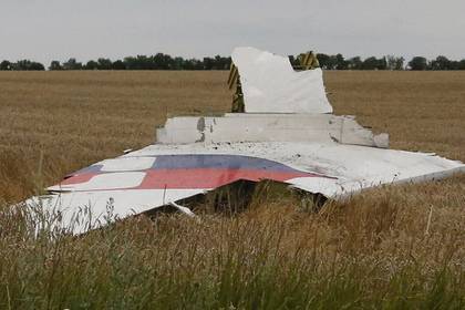 Стало известно о покупке международным следствием улики по делу Boeing MH17 - lenta.ru - Украина - ДНР - Курск