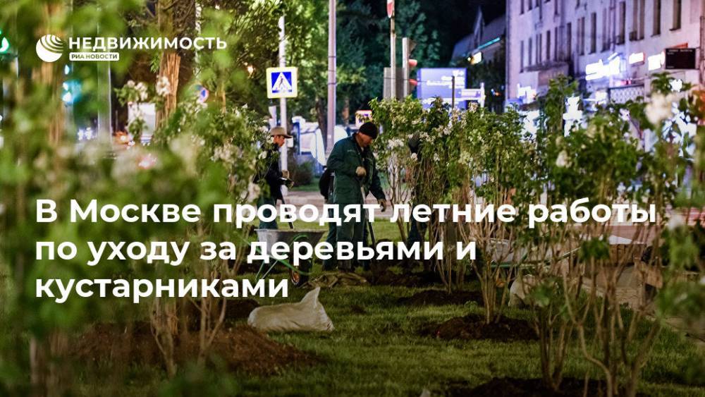 В Москве проводят летние работы по уходу за деревьями и кустарниками - realty.ria.ru - Москва - Москва - Благоустройство