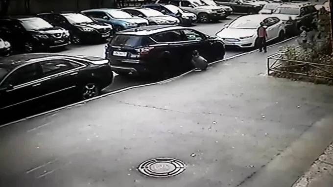 В Приморском районе ребенок попал под машину во дворе дома - piter.tv - Санкт-Петербург - Геленджик
