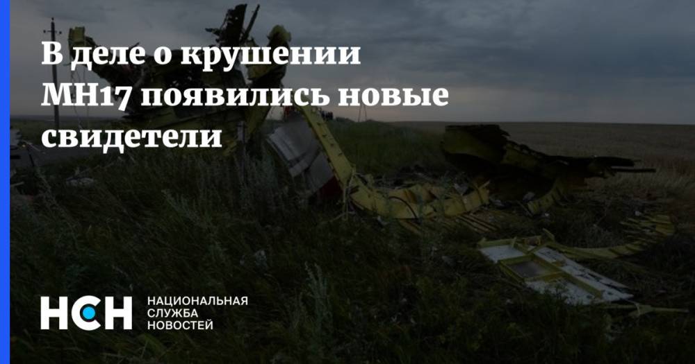 Владимир Путин - Леонид Слуцкий - В деле о крушении MH17 появились новые свидетели - nsn.fm - Россия - Малайзия - Куала-Лумпур - Амстердам