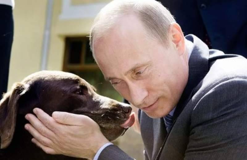 Владимир Путин - Алексей Кудрин - Алексей Герман - Задержан "друг Кудрина" и владелец лабрадора, подаренного Путина - dayonline.ru - Россия - Санкт-Петербург