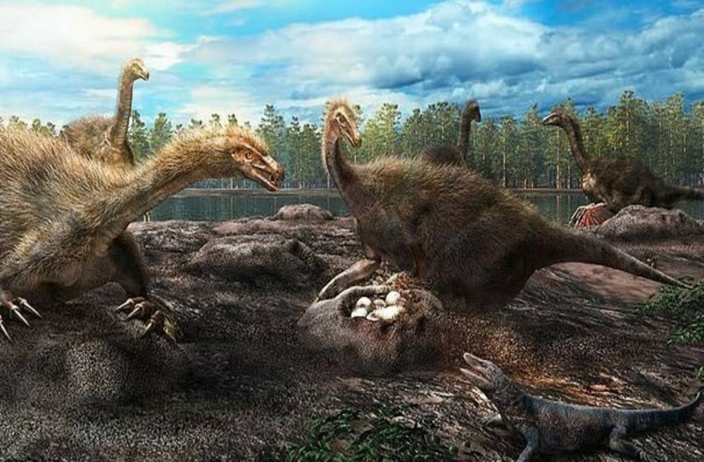 Ученые выяснили, что самки динозавров гнездились группами - moya-planeta.ru - Канада - Монголия
