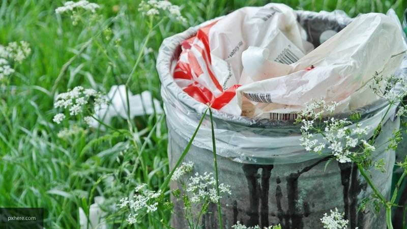 Вера Вырвич - Жители Ставрополья показали ядовито-розовые ручьи у завода по производству пакетов - nation-news.ru - Ставрополье