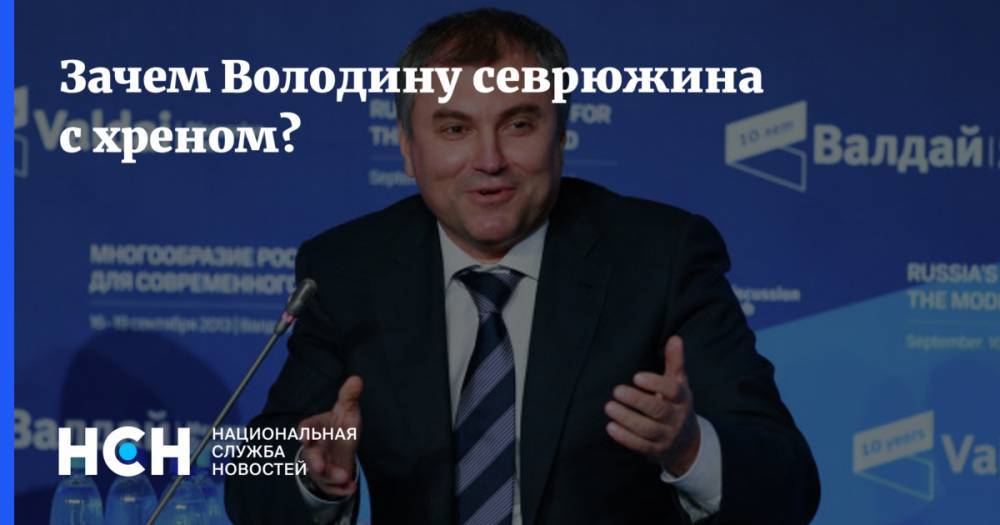 Владимир Путин - Дмитрий Песков - Вячеслав Володин - Михаил Федотов - Хотелось Конституции. Спикер Госдумы призвал изменить Основной закон - nsn.fm - Россия