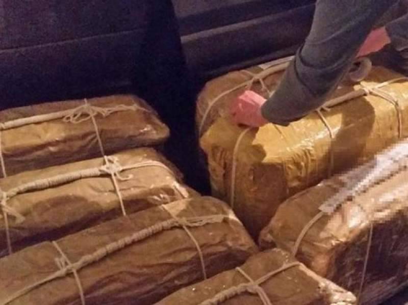 В бразильском супермаркете по ошибке продавали кокаин вместо стирального порошка - dayonline.ru - Бразилия - Сан-Паулу
