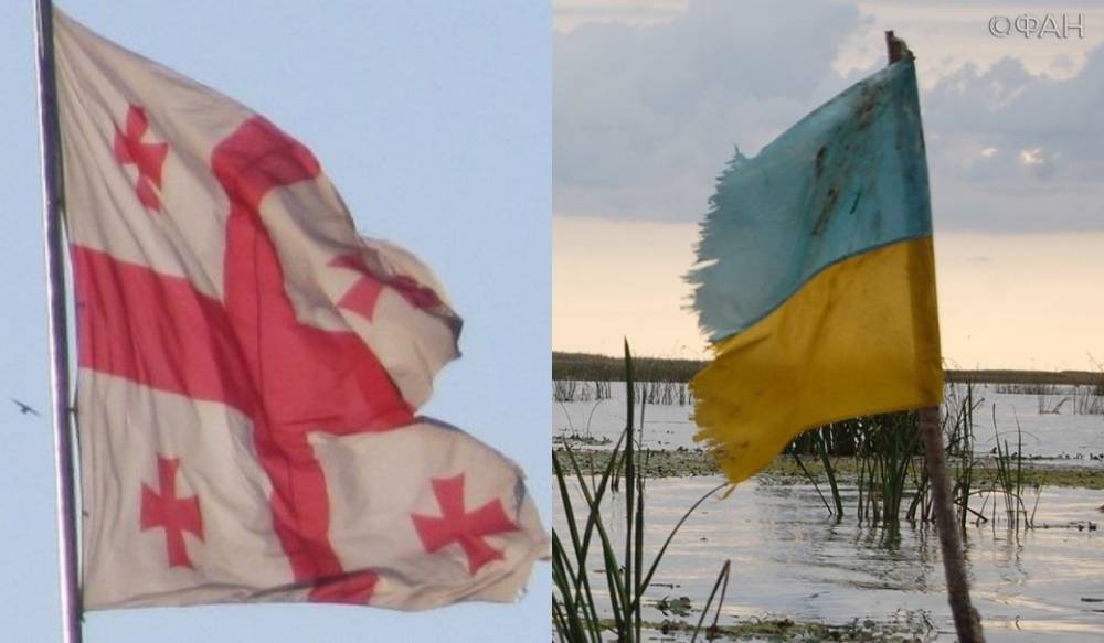 Вадим Манукян - Украинская актриса жестко раскритиковала русофобский телемост Украина — Грузия - riafan.ru - Россия - Украина - Киев - Грузия